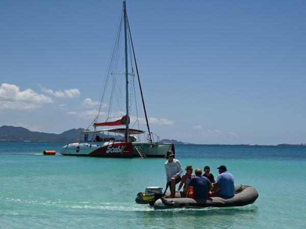 PRICKLY PEAR - FULL DAY - LUNCH & OPEN BAR